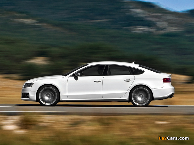 Audi S5 Sportback 2010–11 images (640 x 480)