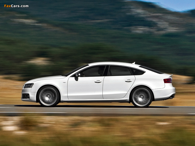 Audi S5 Sportback 2010–11 images (800 x 600)