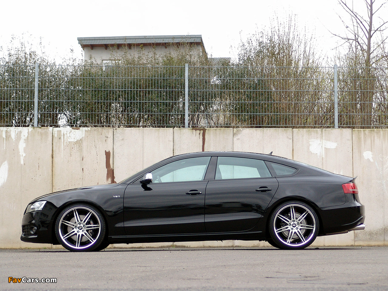 Senner Tuning Audi S5 Sportsback 2010–12 pictures (800 x 600)
