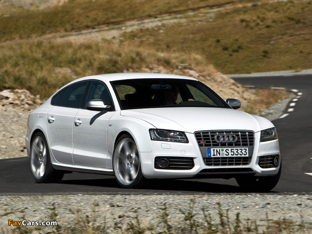 Audi S5 Sportback 2010–11 pictures (640 x 480)