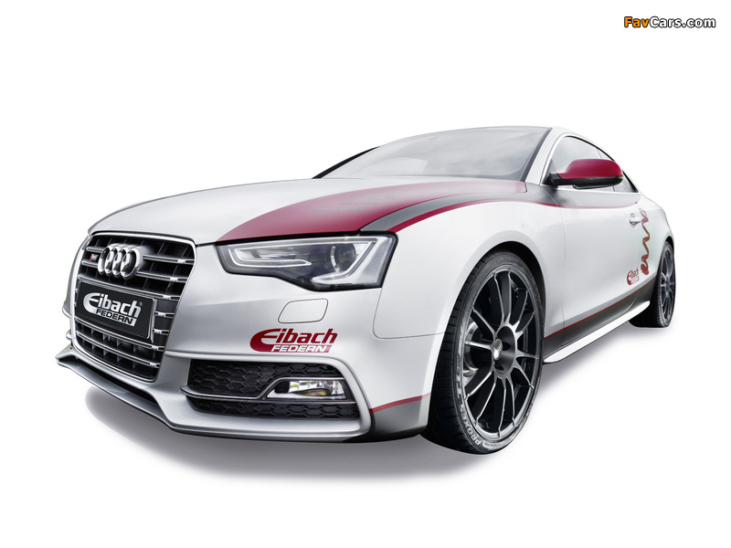 Audi S5 by Eibach 2012 wallpapers (800 x 600)