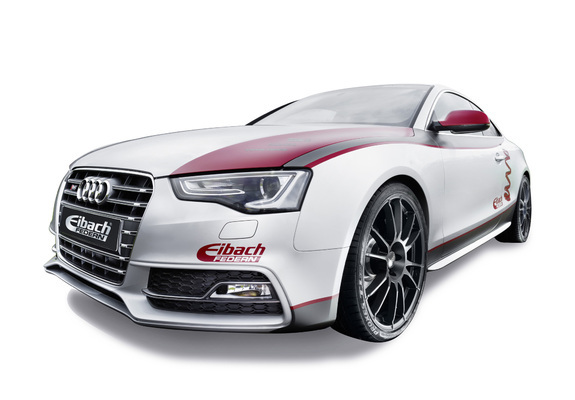 Audi S5 by Eibach 2012 wallpapers