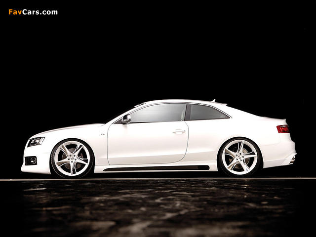 Images of Rieger Audi S5 2008 (640 x 480)