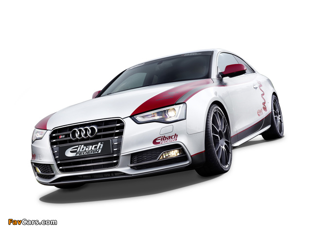 Images of Audi S5 by Eibach 2012 (640 x 480)