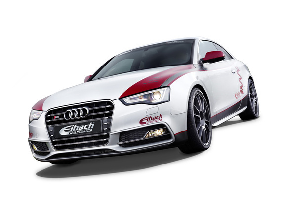 Images of Audi S5 by Eibach 2012