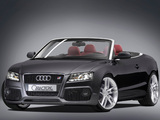 Caractere Audi S5 Cabriolet 2009 wallpapers