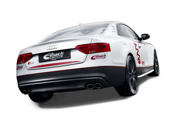 Audi S5 by Eibach 2012 wallpapers