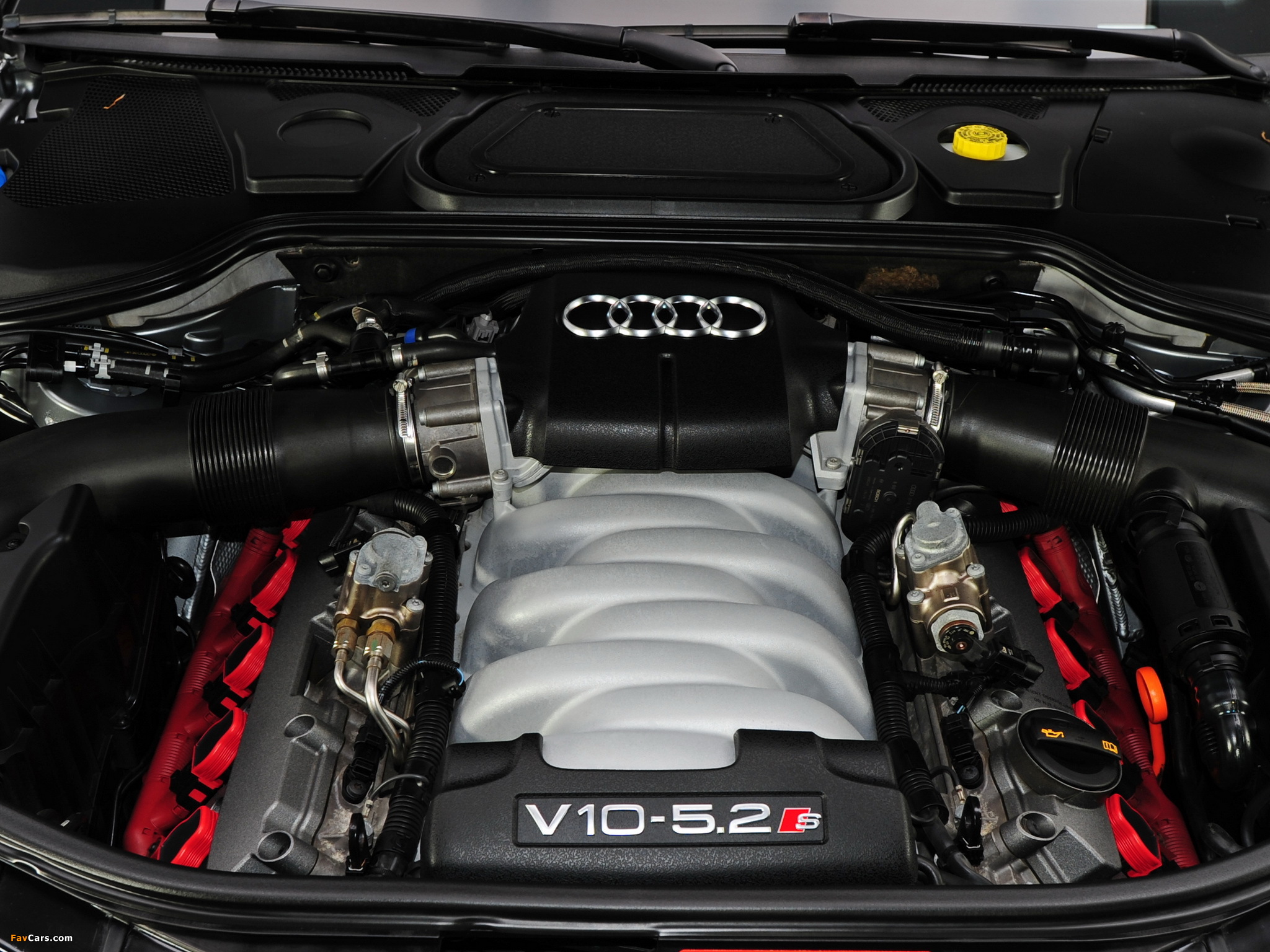 Pictures of Audi S8 US-spec (D3) 2008–11 (2048 x 1536)