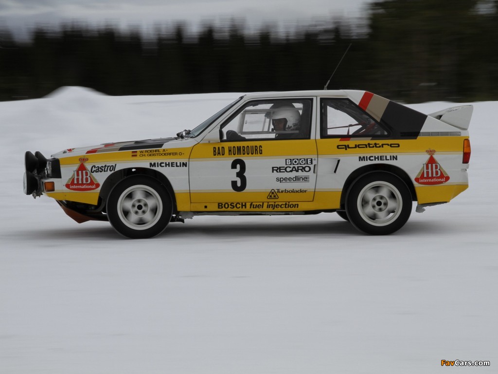 Audi Sport Quattro Group B Rally Car 1984–86 photos (1024 x 768)