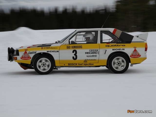 Audi Sport Quattro Group B Rally Car 1984–86 photos (640 x 480)
