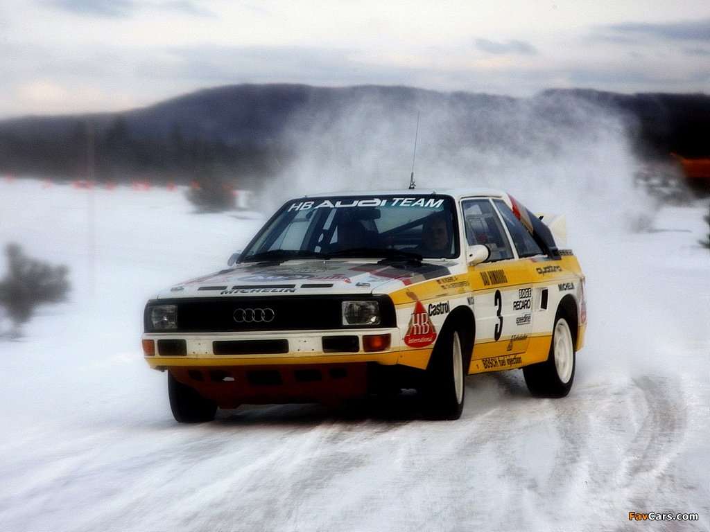 Audi Sport Quattro Group B Rally Car 1984–86 pictures (1024 x 768)