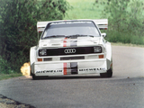 Audi Sport Quattro S1 Pikes Peak Hill Climb 1986–87 images