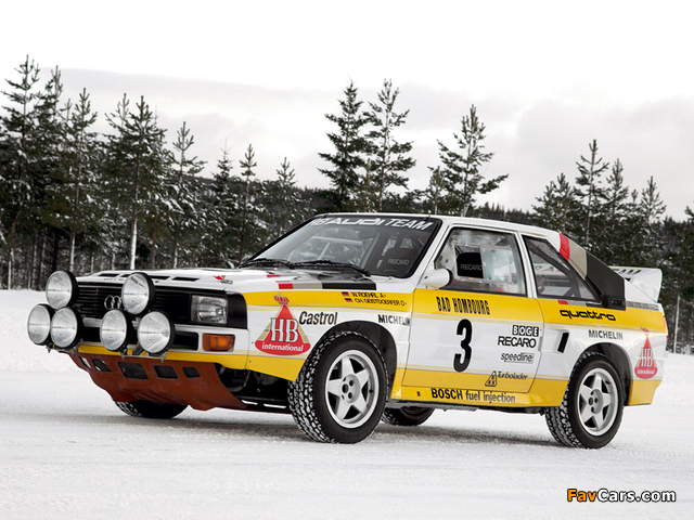 Pictures of Audi Sport Quattro Group B Rally Car 1984–86 (640 x 480)