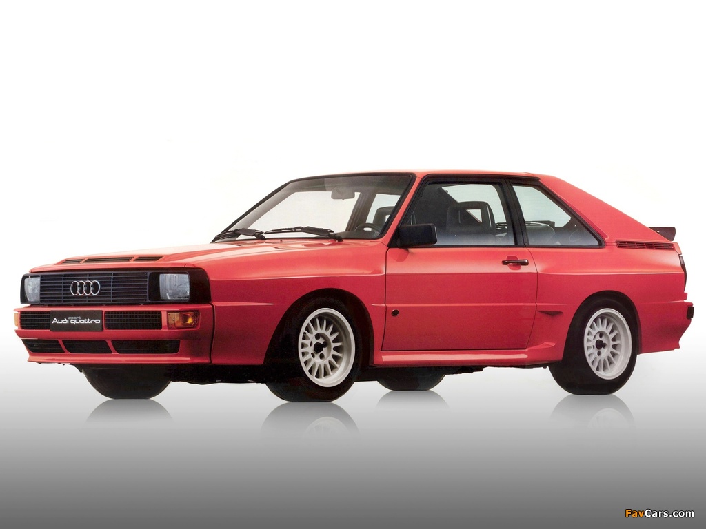 Pictures of Audi Sport Quattro 1984–86 (1024 x 768)