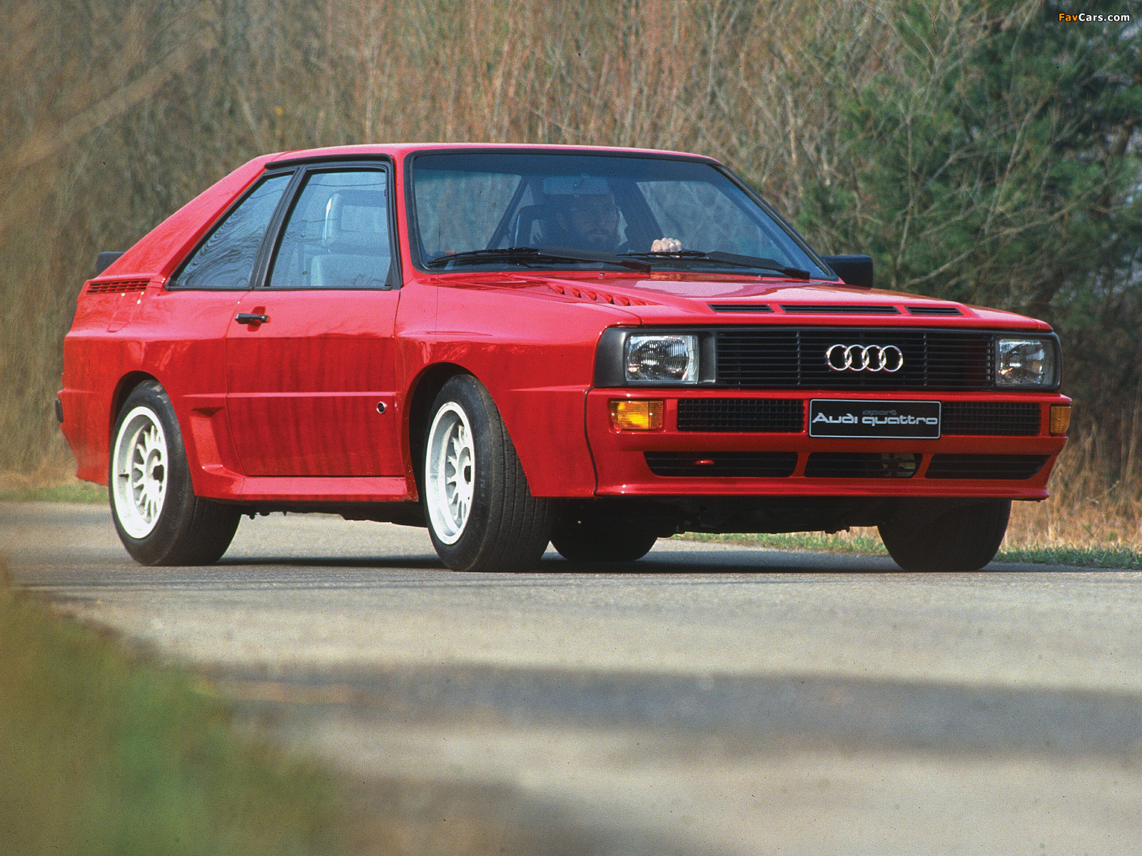 Audi Sport Quattro 1984–86 wallpapers (1600 x 1200)