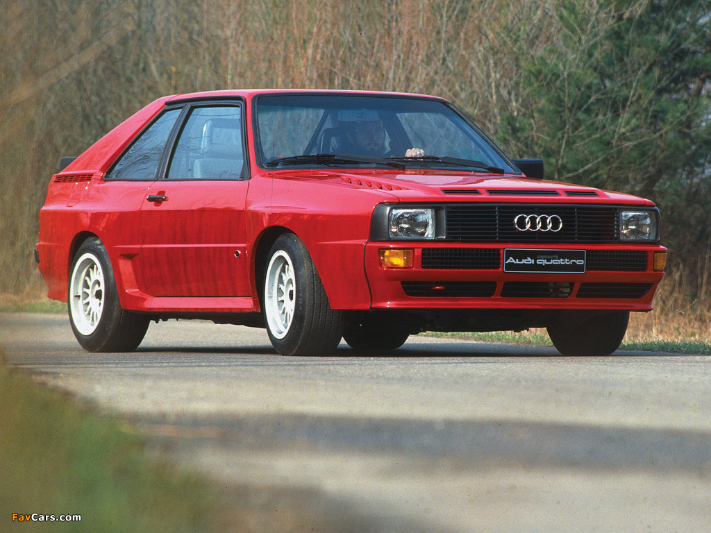 Audi Sport Quattro 1984–86 wallpapers (1024 x 768)