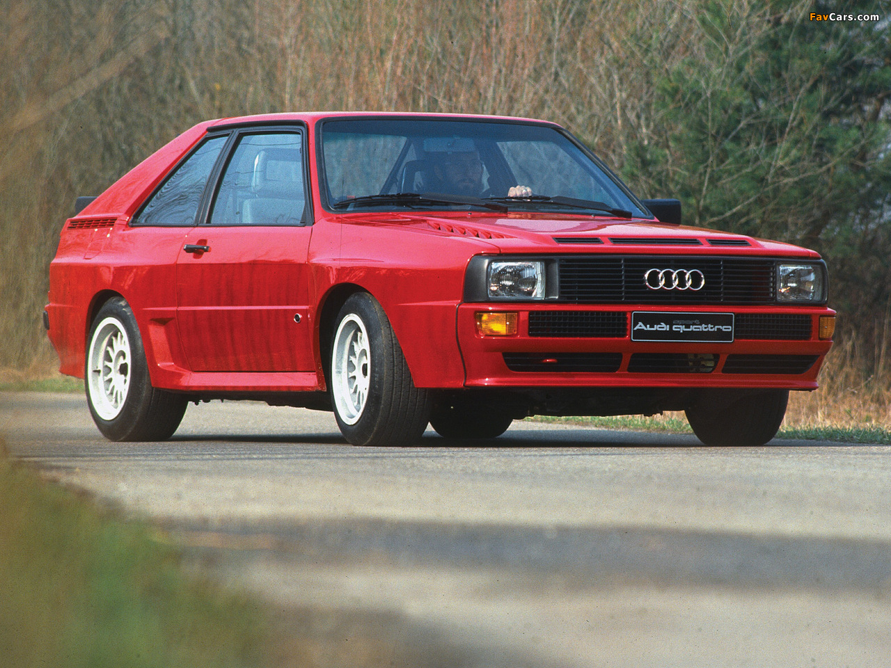 Audi Sport Quattro 1984–86 wallpapers (1280 x 960)