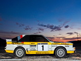 Audi Sport Quattro Group B Rally Car 1984–86 wallpapers