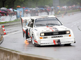 Audi Sport Quattro S1 Pikes Peak Hill Climb 1986–87 wallpapers