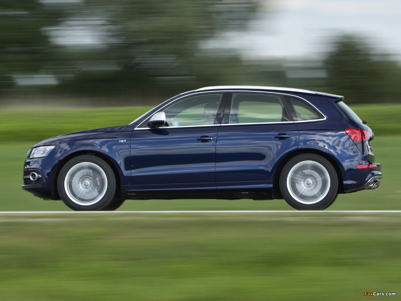 Audi SQ5 TDI (8R) 2013 images (1280 x 960)