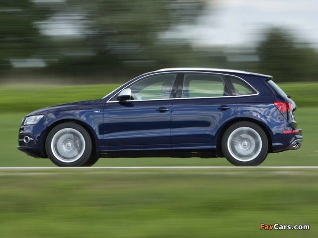 Audi SQ5 TDI (8R) 2013 images (640 x 480)