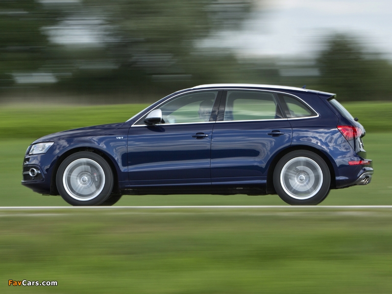 Audi SQ5 TDI (8R) 2013 images (800 x 600)