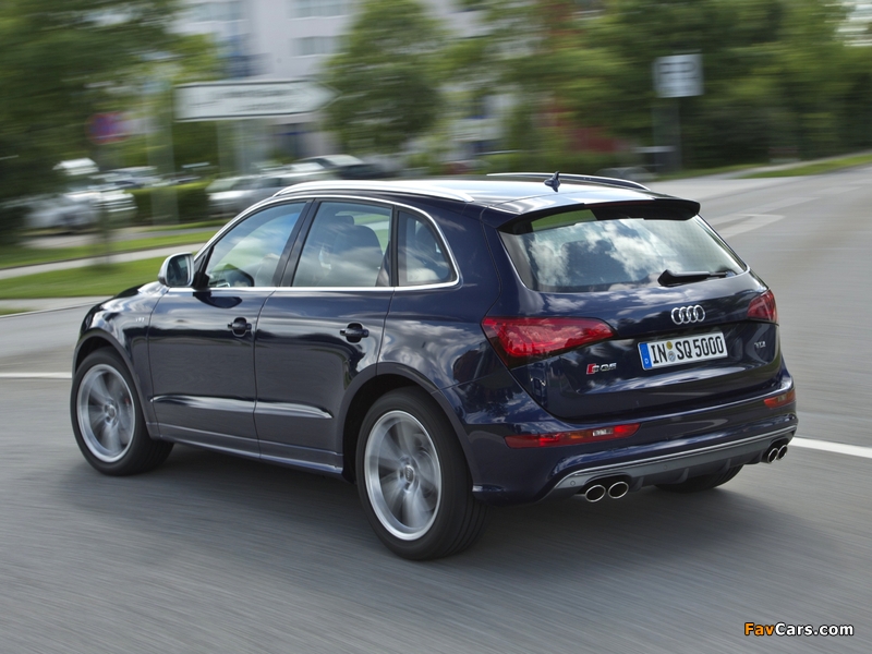 Audi SQ5 TDI (8R) 2013 images (800 x 600)