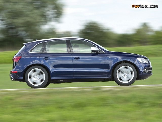 Audi SQ5 TDI (8R) 2013 wallpapers (640 x 480)