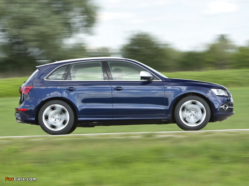 Audi SQ5 TDI (8R) 2013 wallpapers (800 x 600)