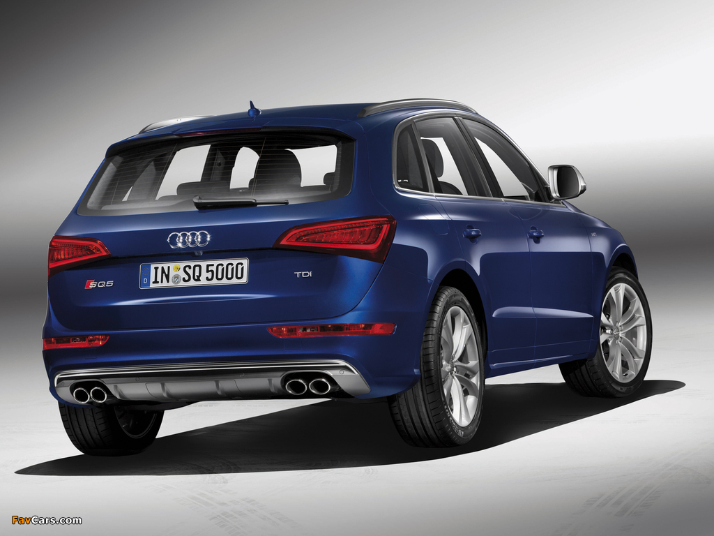 Audi SQ5 TDI (8R) 2013 wallpapers (1024 x 768)