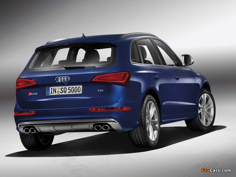 Audi SQ5 TDI (8R) 2013 wallpapers (800 x 600)