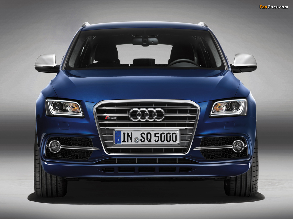 Photos of Audi SQ5 TDI (8R) 2013 (1024 x 768)