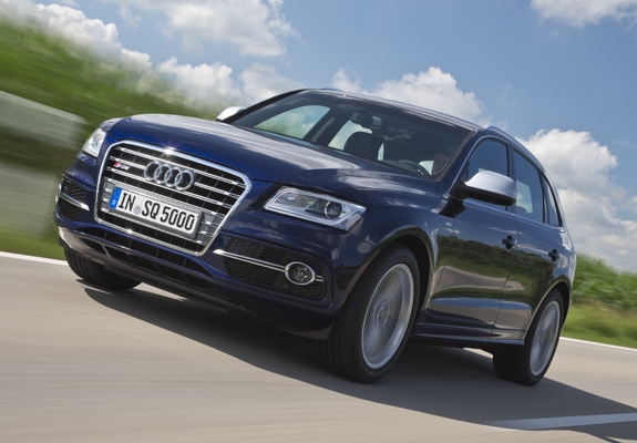 Photos of Audi SQ5 TDI (8R) 2013