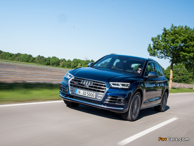 Photos of Audi SQ5 3.0 TFSI 2017 (640 x 480)