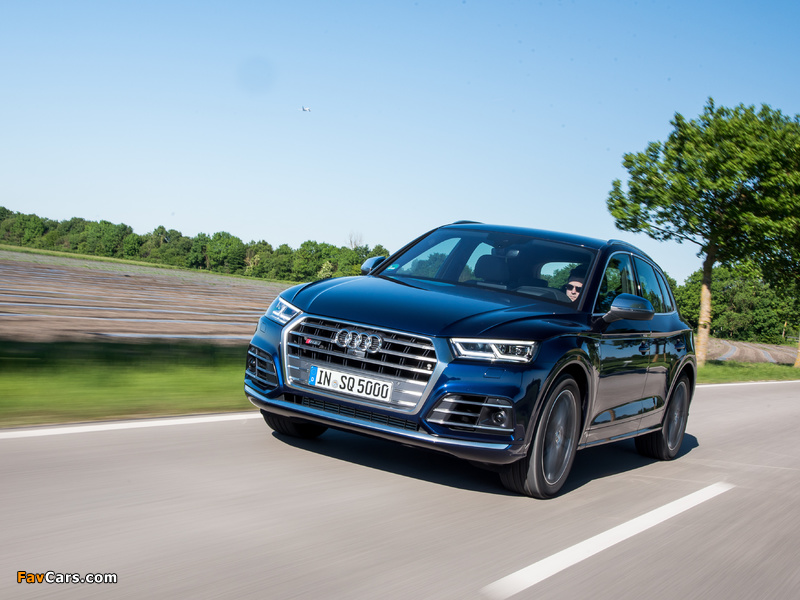 Photos of Audi SQ5 3.0 TFSI 2017 (800 x 600)