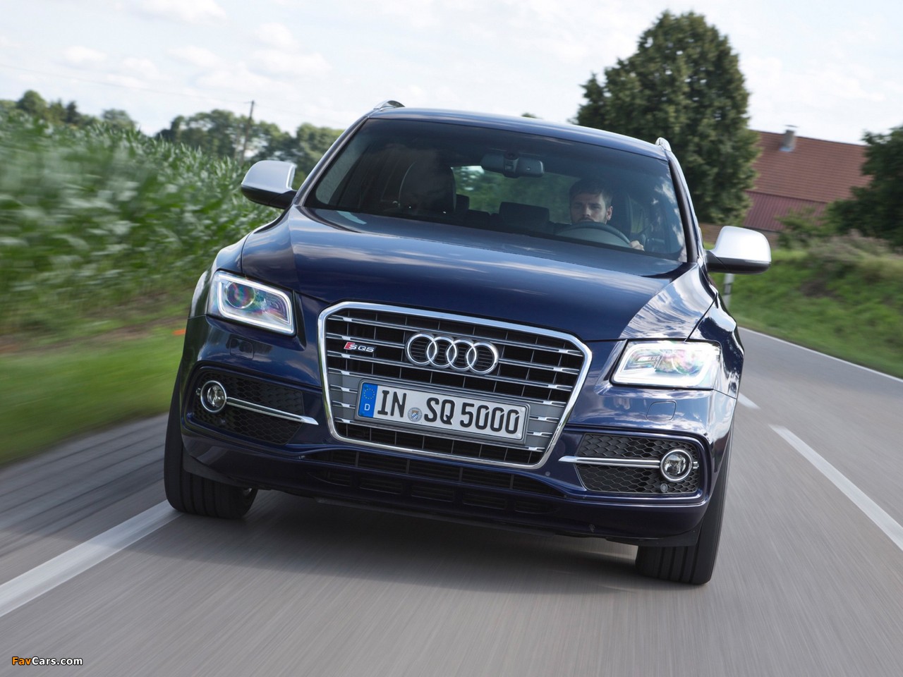 Pictures of Audi SQ5 TDI (8R) 2013 (1280 x 960)