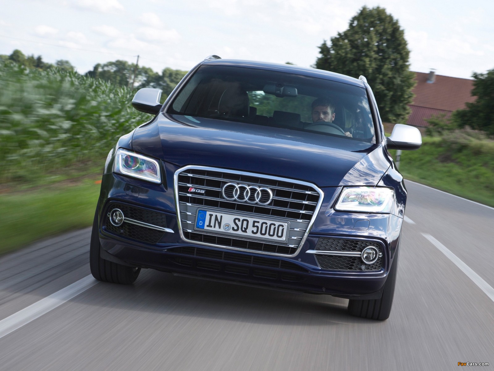 Pictures of Audi SQ5 TDI (8R) 2013 (1600 x 1200)