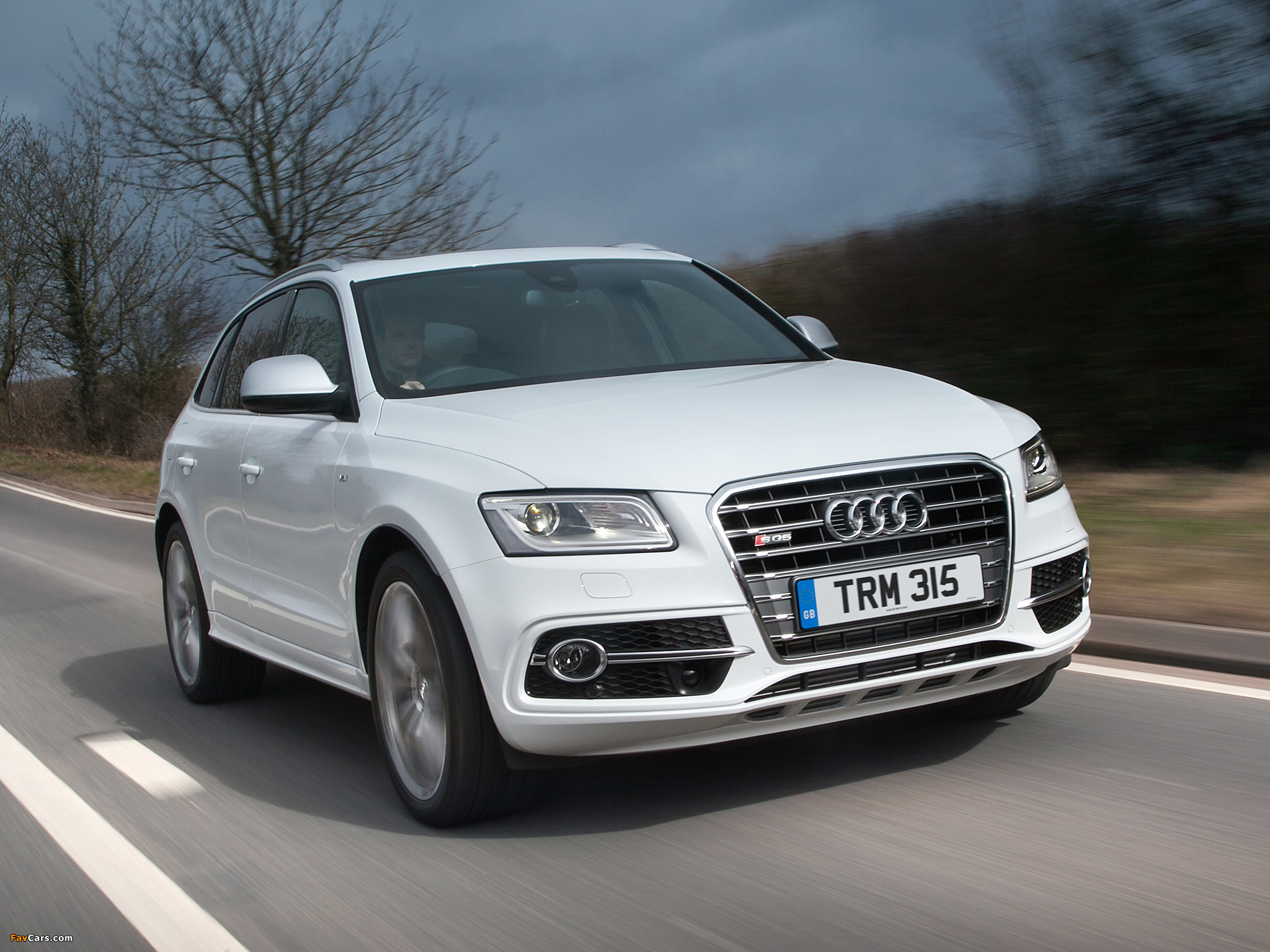 Pictures of Audi SQ5 TDI UK-spec (8R) 2013 (2048 x 1536)