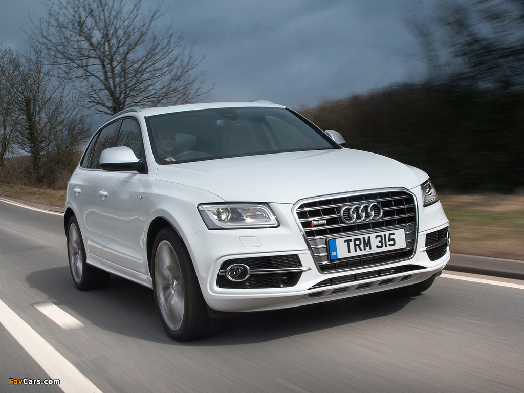 Pictures of Audi SQ5 TDI UK-spec (8R) 2013 (1024 x 768)