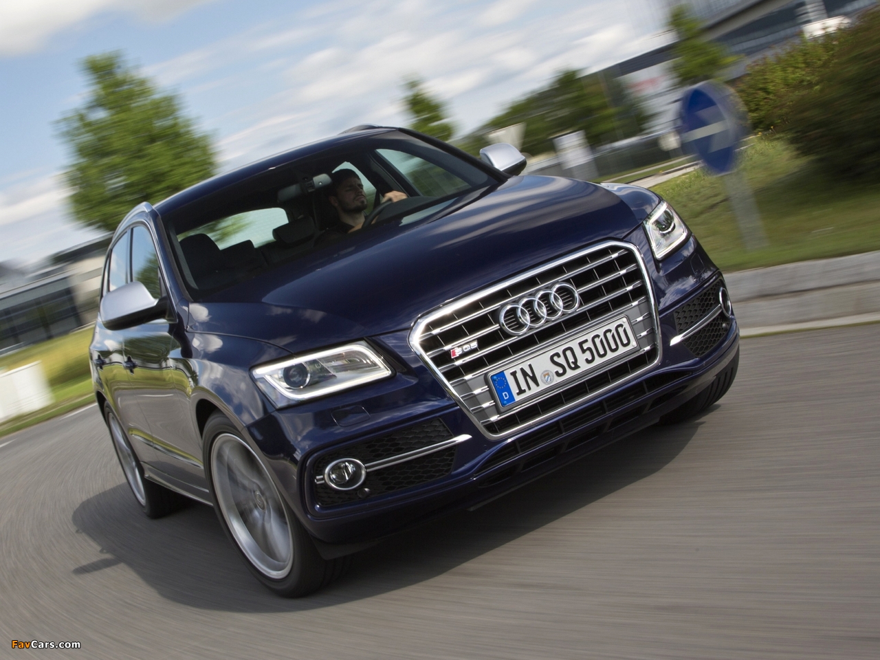 Pictures of Audi SQ5 TDI (8R) 2013 (1280 x 960)