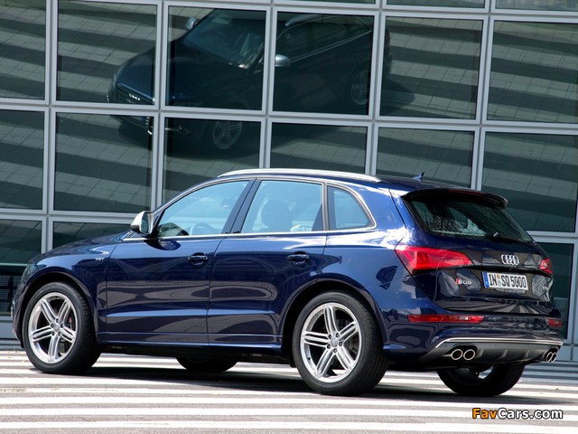 Audi SQ5 TDI (8R) 2013 wallpapers (640 x 480)