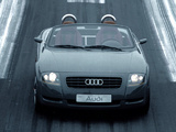 Audi TTS Roadster Concept  1995 photos