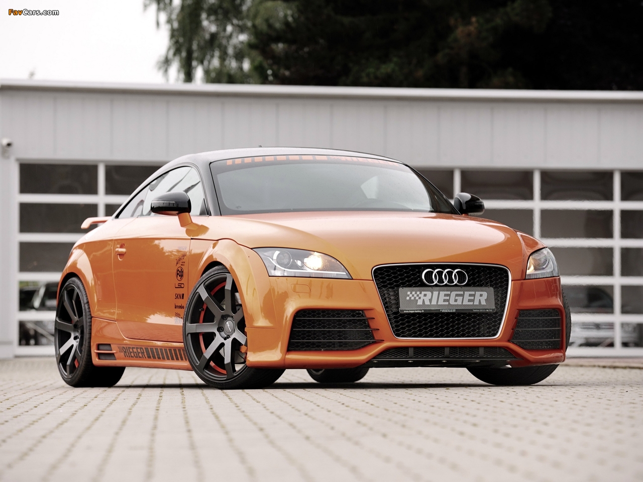 Rieger Audi TT Coupe (8J) 2011 photos (1280 x 960)