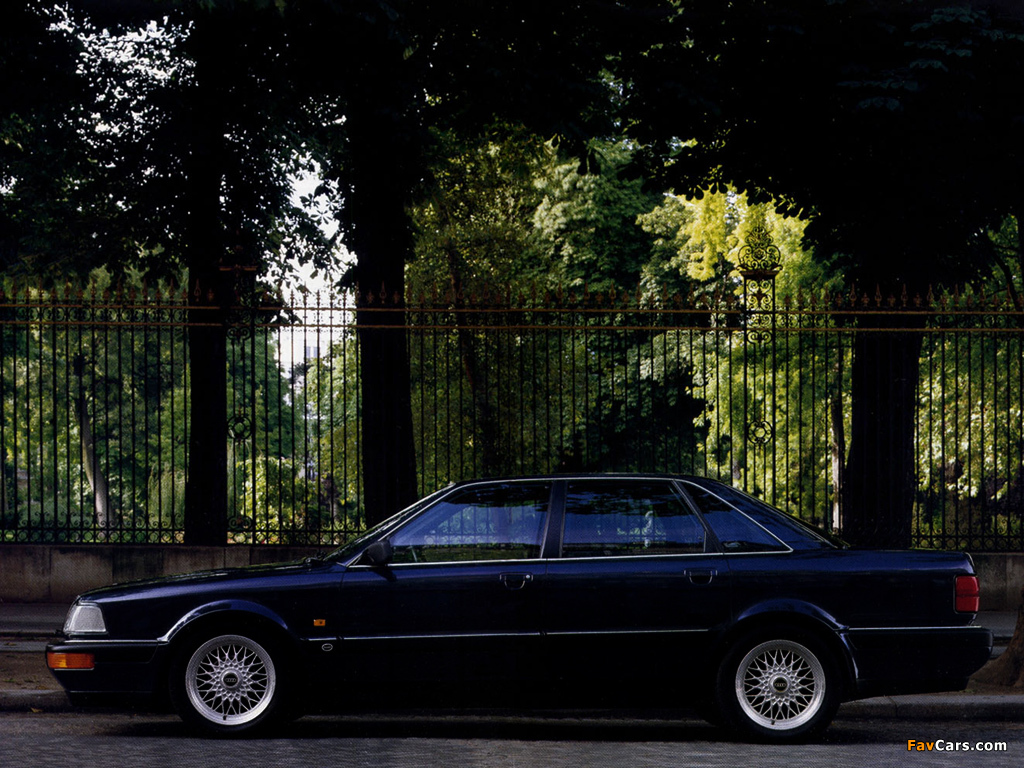 Audi V8 1988–94 photos (1024 x 768)
