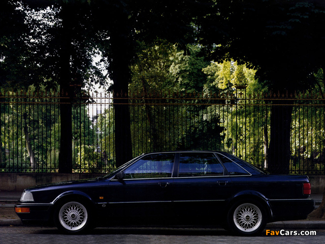 Audi V8 1988–94 photos (640 x 480)