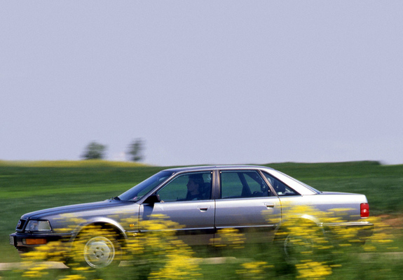 Audi V8 1988–94 pictures