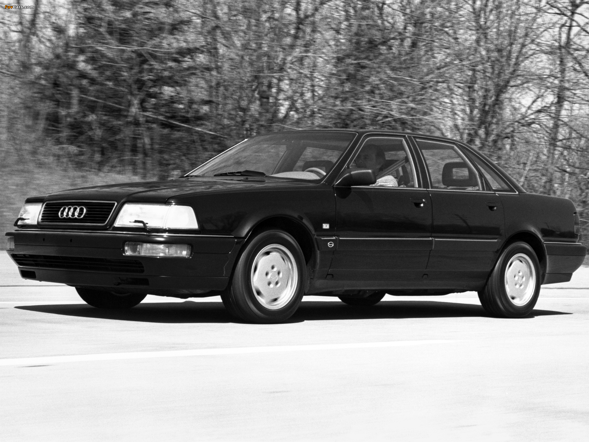 Pictures of Audi V8 US-spec 1989–94 (2048 x 1536)