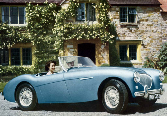 Austin Healey 100 (BN1) 1953–55 photos