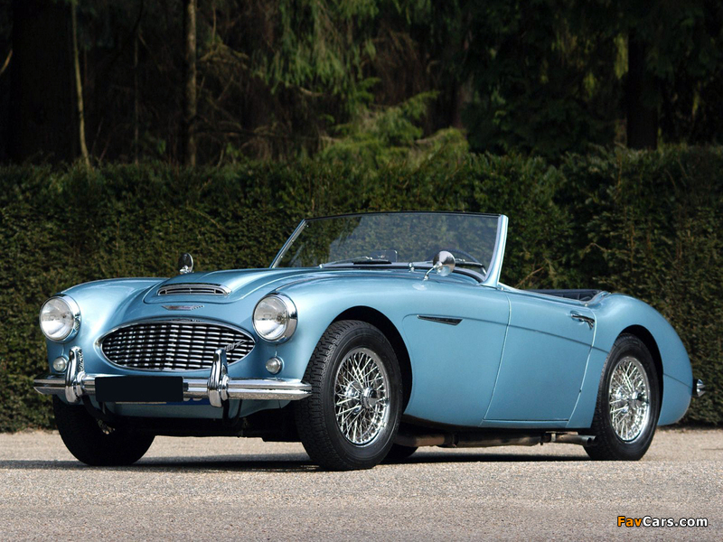 Austin Healey 100/6 (BN6) 1956–59 images (800 x 600)