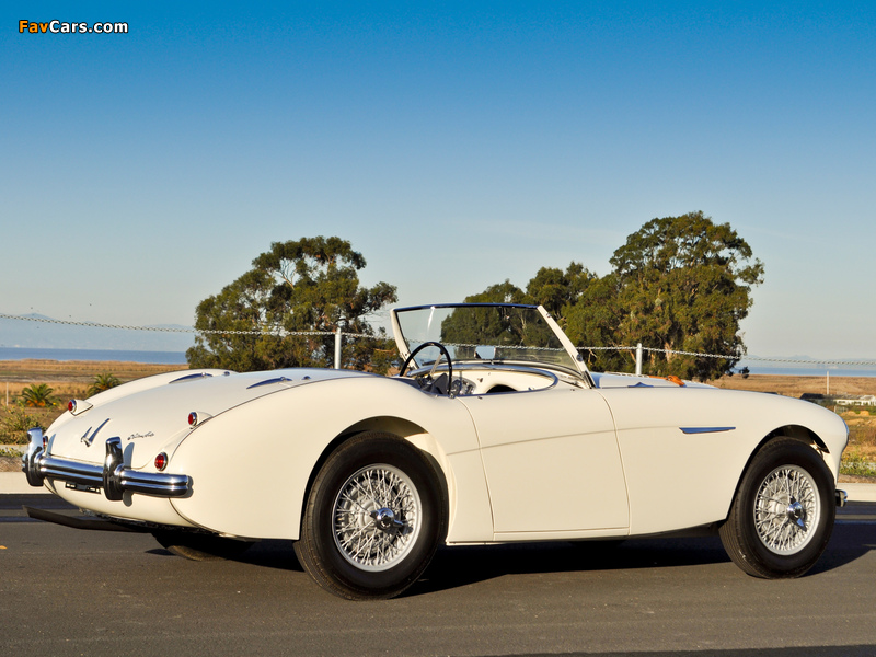 Austin Healey 100M Le Mans Roadster 1956 wallpapers (800 x 600)